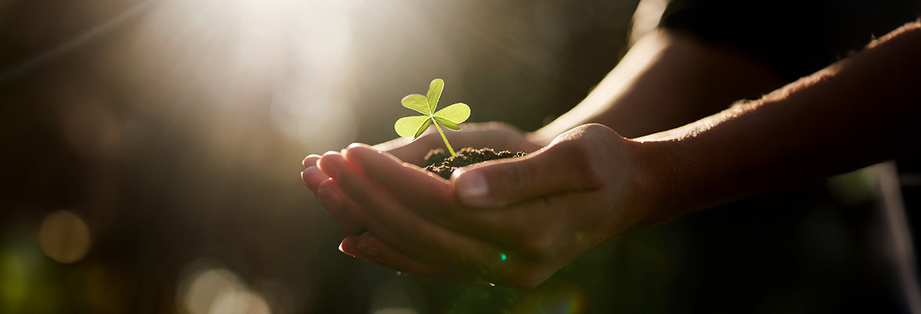 지속가능경영 이미지